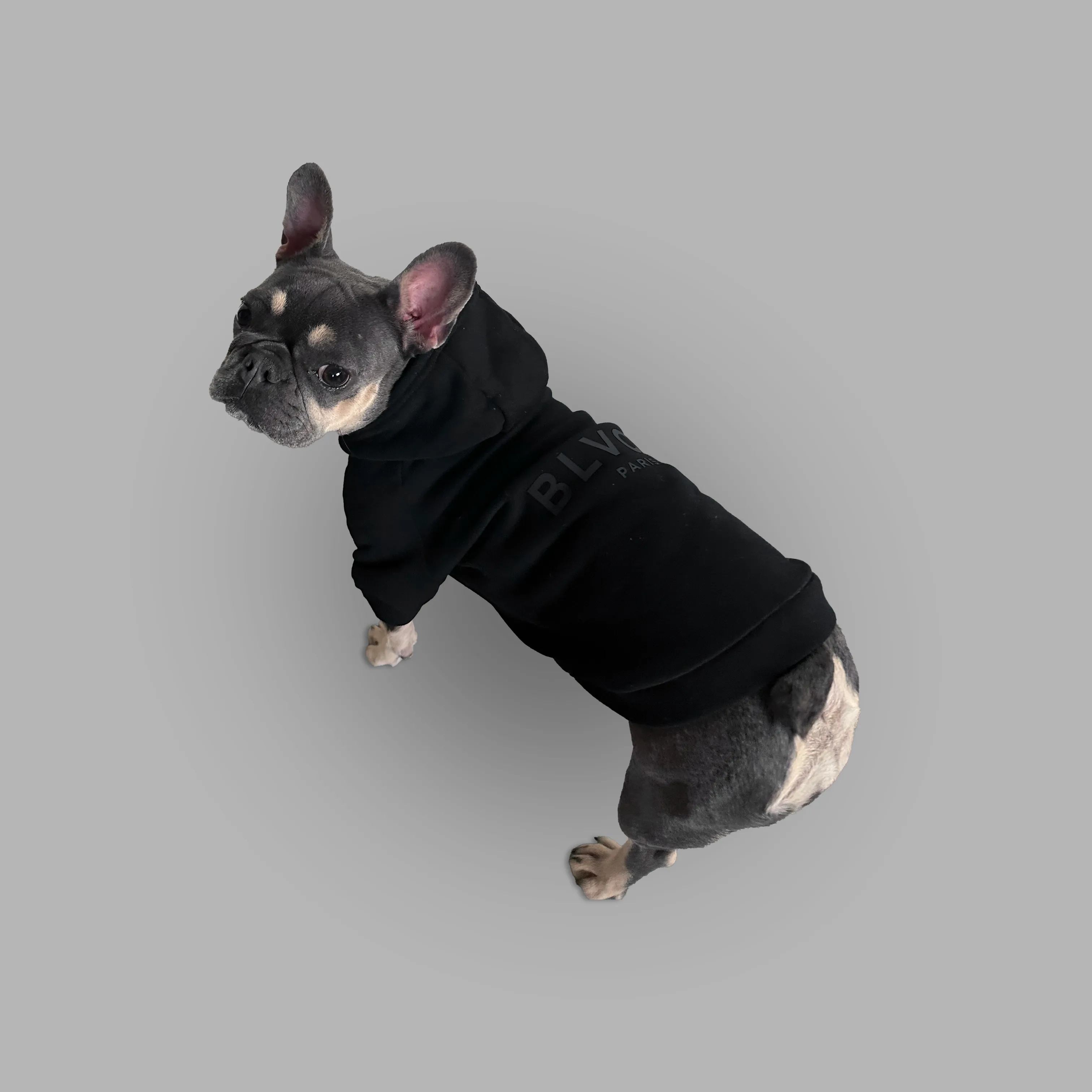 Bold Pet Hoodie