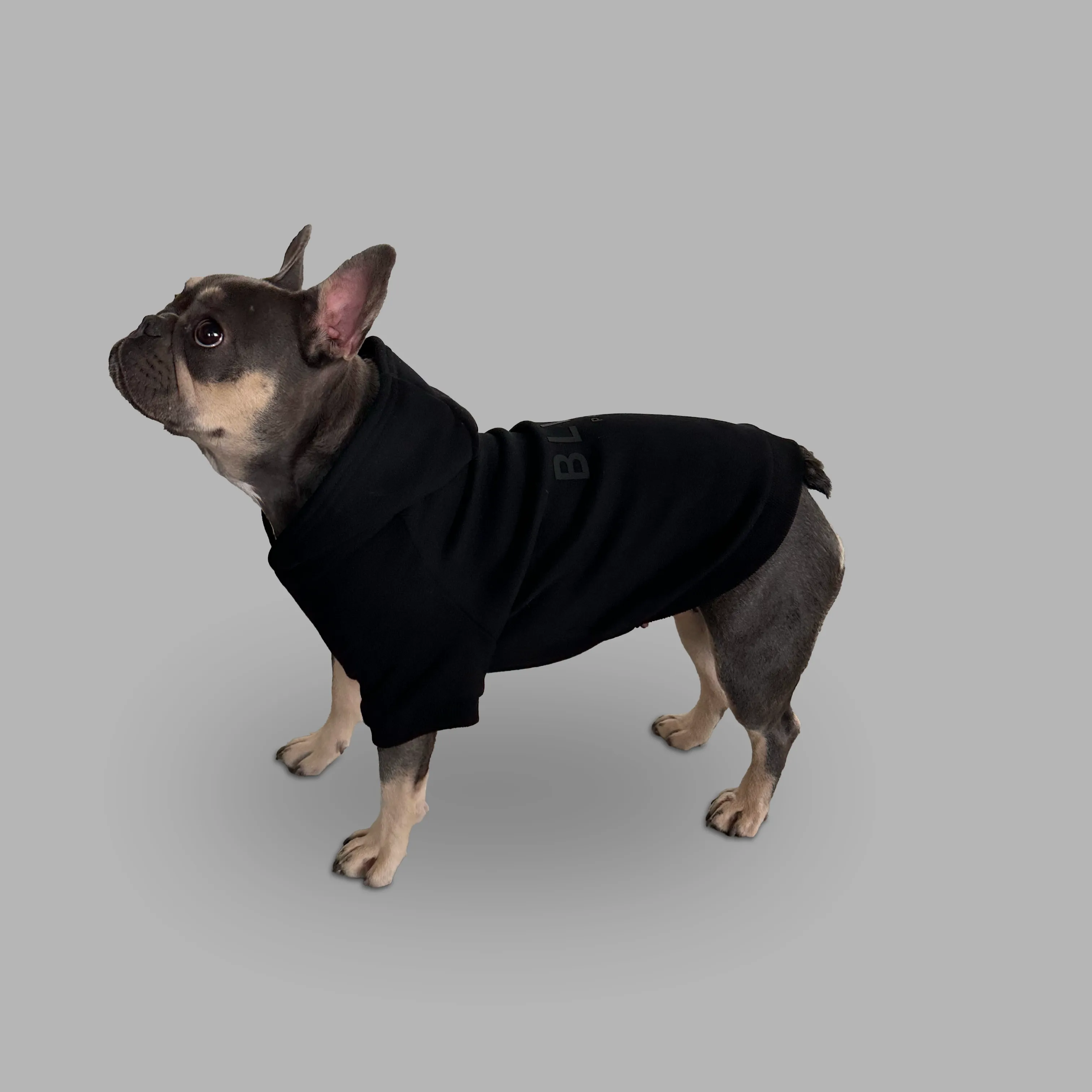 Bold Pet Hoodie